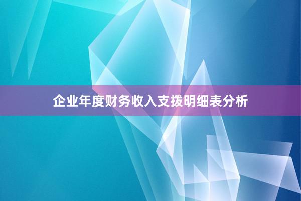 企业年度财务收入支拨明细表分析